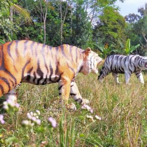 Buat Harimau Jasa Bikin Patung Harimau Patung Harimau Besar