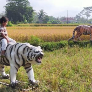 Harga Patung Harimau Harga Patung Harimau Loreng Harga Buat Patung Harimau