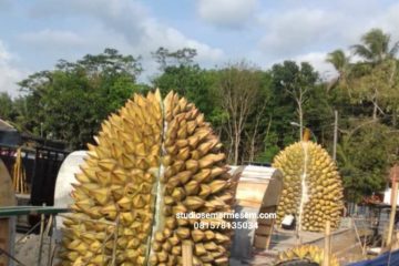Jasa Bikin Replika Durian Durian 3d Buat Semple Durian