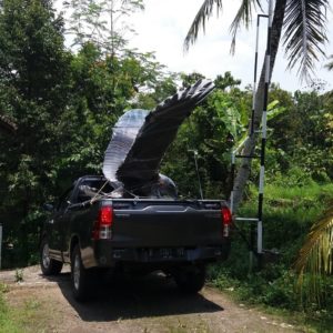 Kelik Studio Semar Mesem Patung Rajawali Jawa Tengah Patung Burung Wak Wak