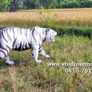 Patung Harimau Meme Patung Harimau Malaysia Membuat Patung Macan