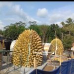Jasa Pembuatan Replika Durian